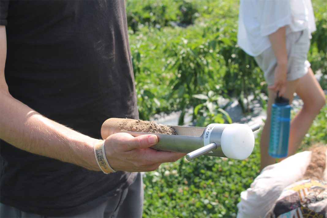 Bohrkern mit genommener Bodenprobe in Hand