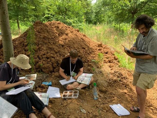 Teilnehmer*innen des Soil Contests im Feld