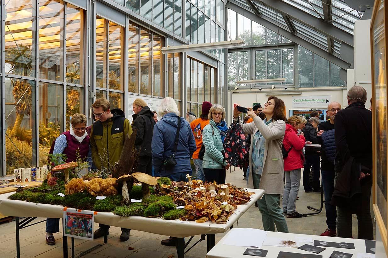 Teil des Ausstellungsraums mit einem Tisch mit Frischpilzen im Vordergrund sowie den Besucher*innen und Gewächshaus im Hintergrund